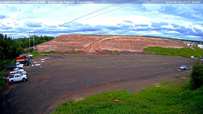 Windsor Salt
