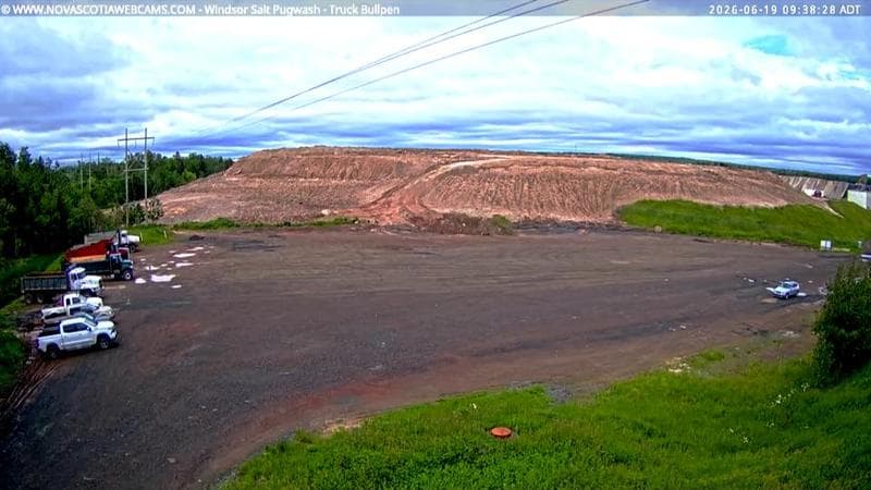 Windsor Salt
