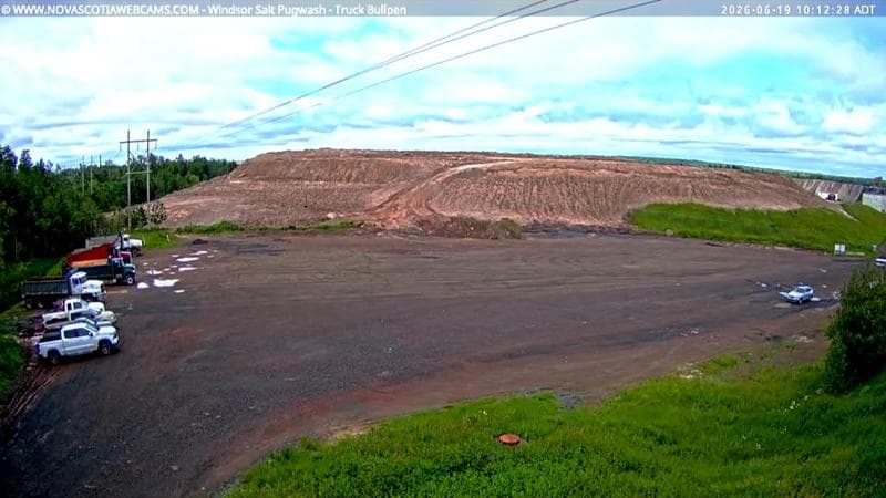 Windsor Salt
