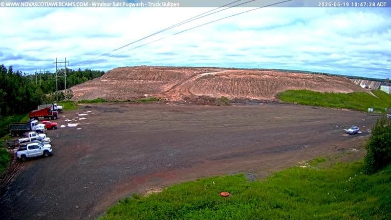 Windsor Salt