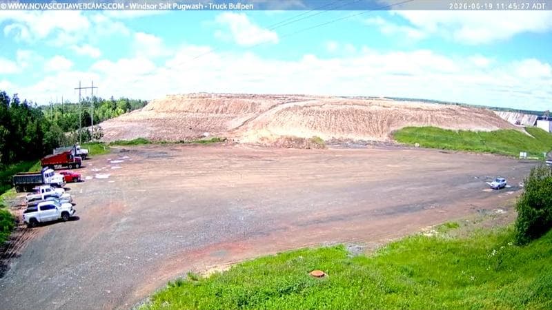 Windsor Salt