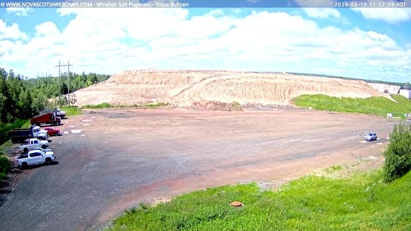 Windsor Salt