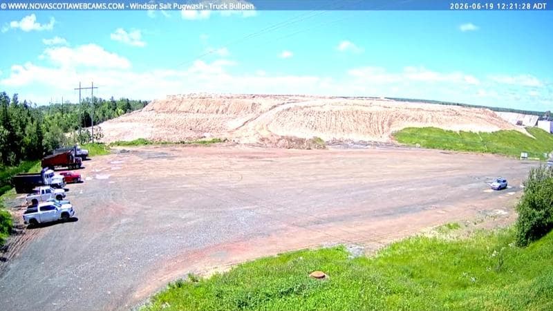 Windsor Salt