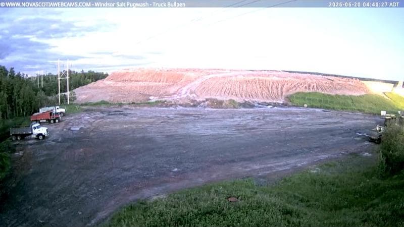 Windsor Salt