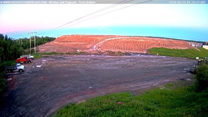 Windsor Salt