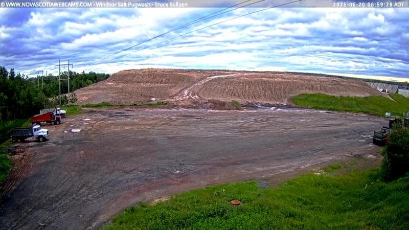 Windsor Salt