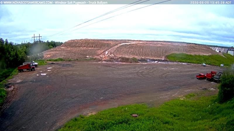 Windsor Salt