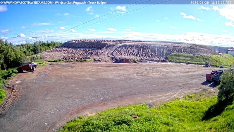Windsor Salt