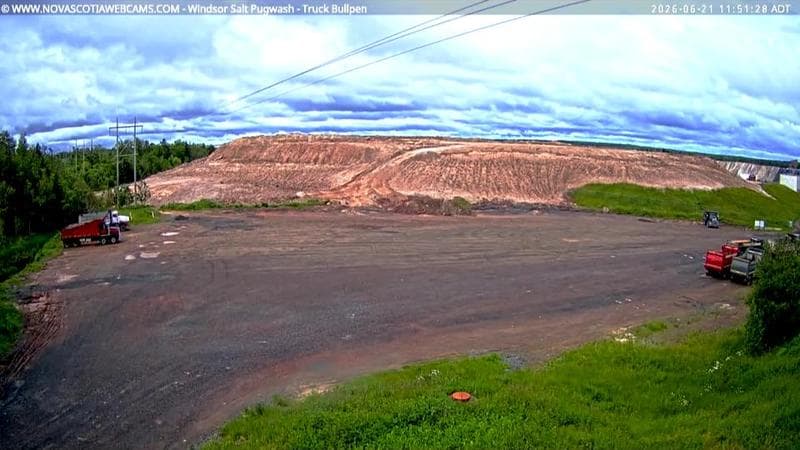 Windsor Salt