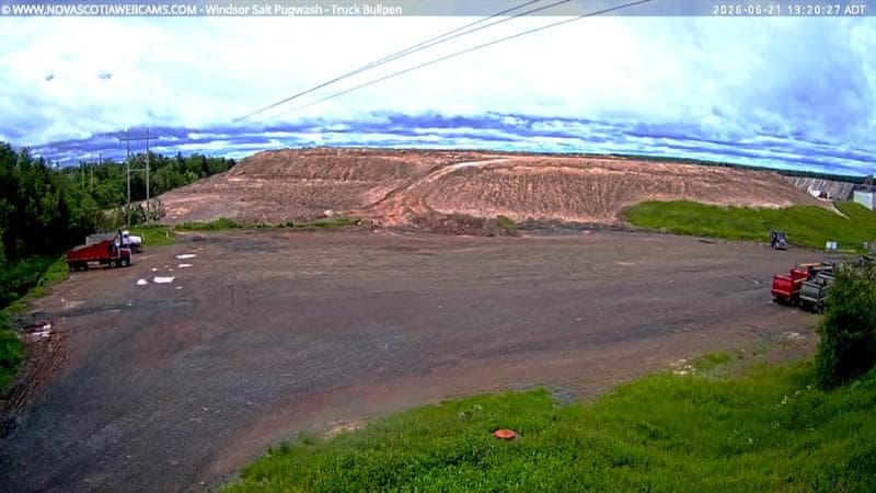 Windsor Salt