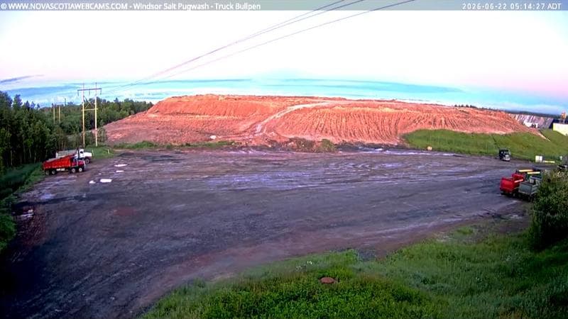 Windsor Salt
