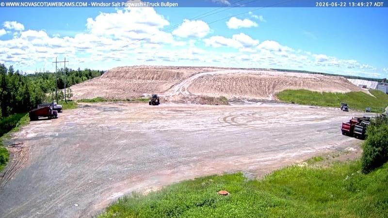 Windsor Salt