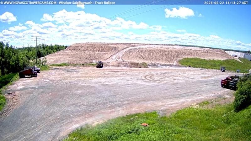 Windsor Salt
