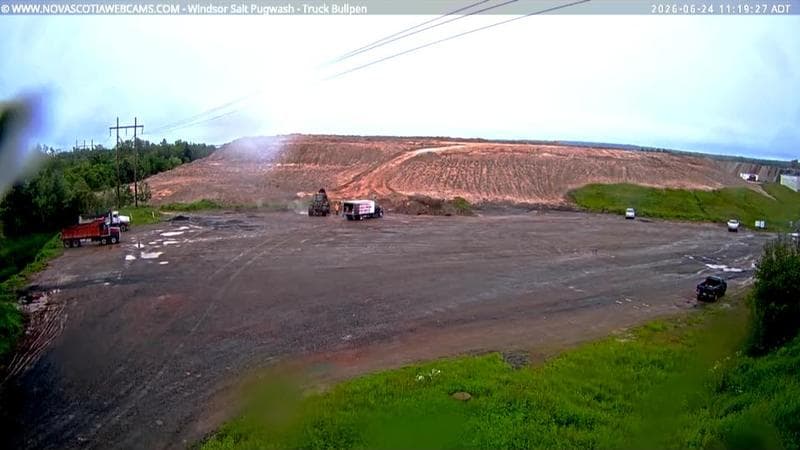 Windsor Salt