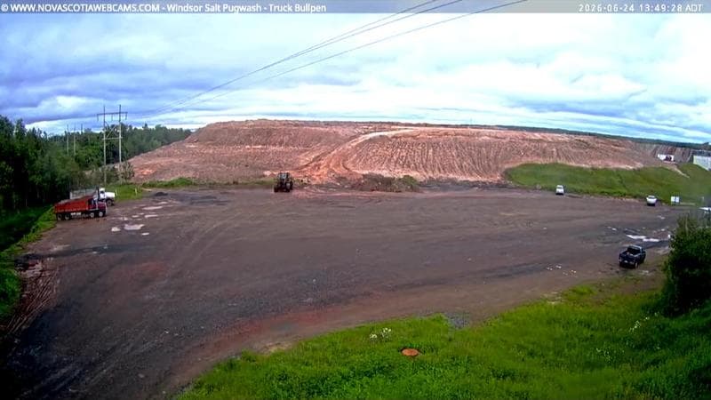 Windsor Salt