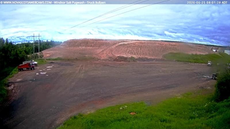 Windsor Salt