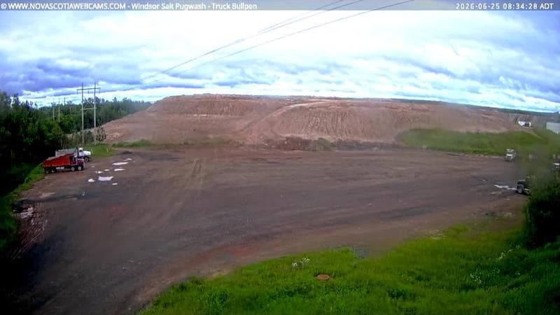 Windsor Salt