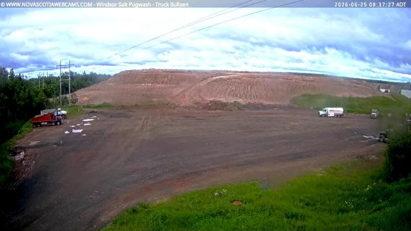 Windsor Salt