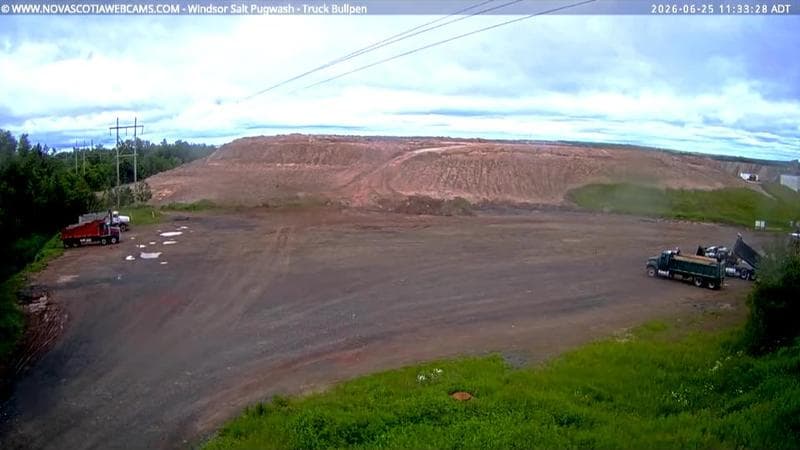 Windsor Salt