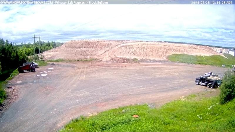 Windsor Salt