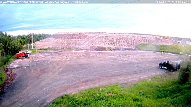 Windsor Salt