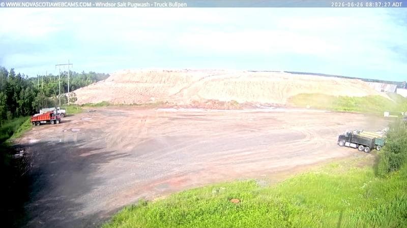 Windsor Salt