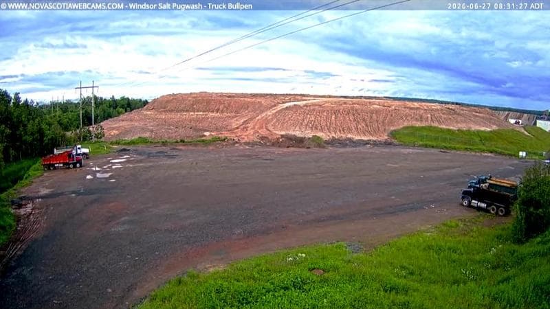 Windsor Salt