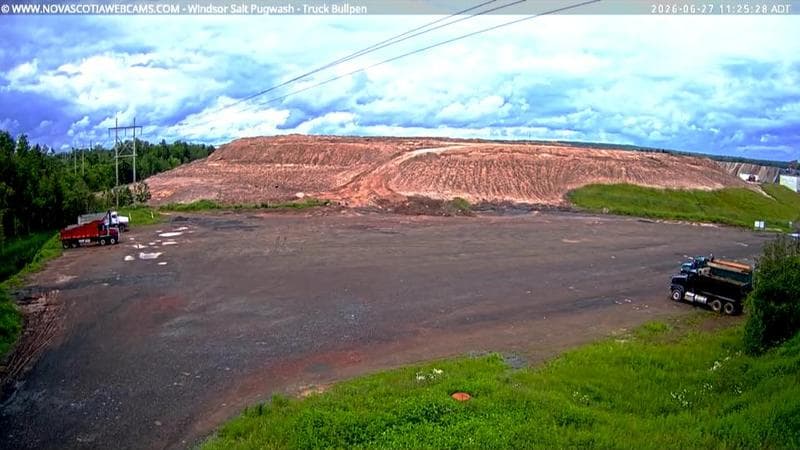 Windsor Salt