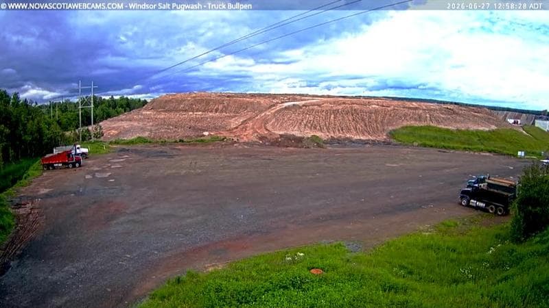 Windsor Salt
