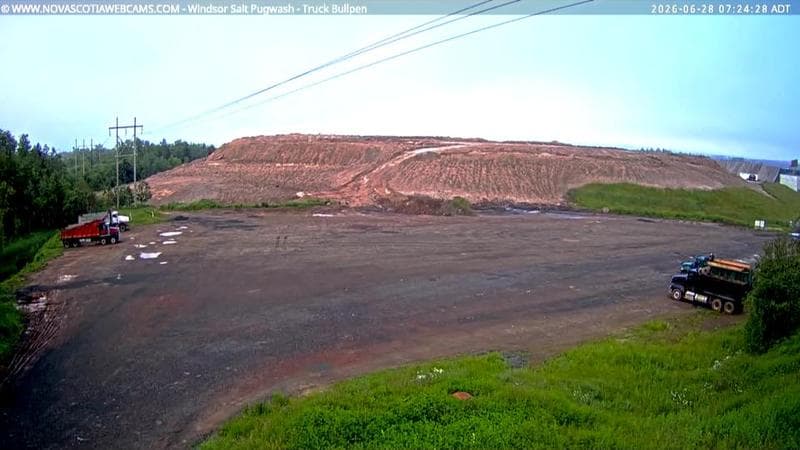 Windsor Salt