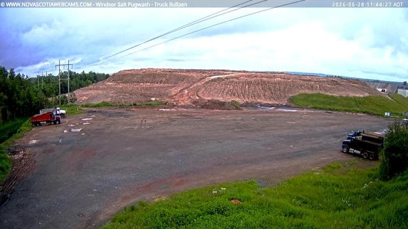 Windsor Salt