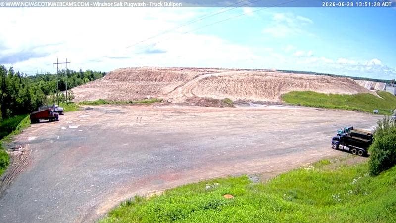 Windsor Salt