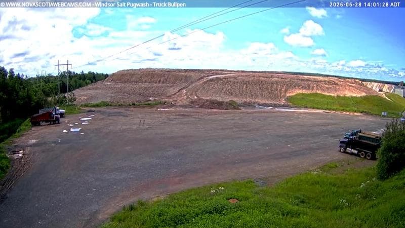 Windsor Salt