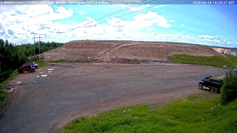 Windsor Salt