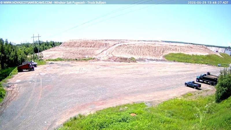 Windsor Salt