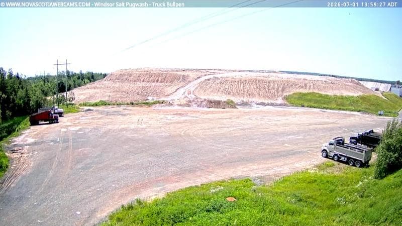 Windsor Salt