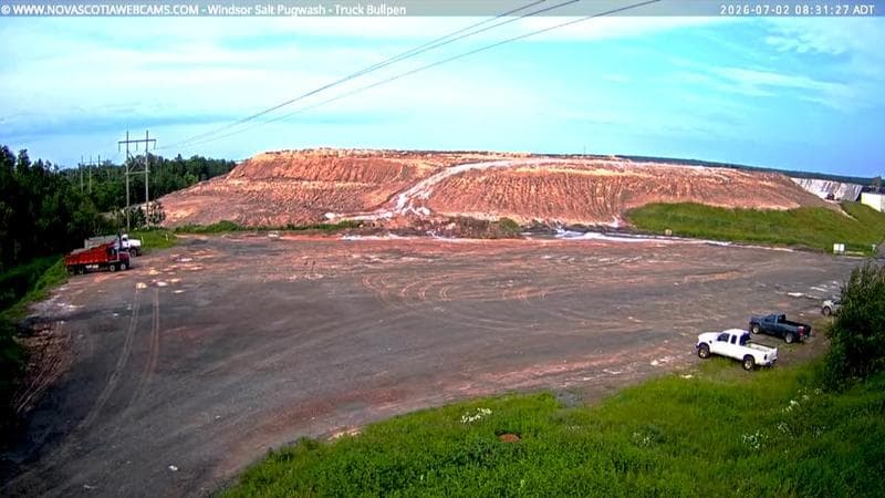 Windsor Salt