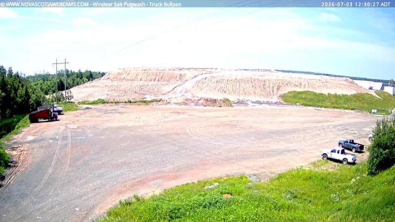 Windsor Salt