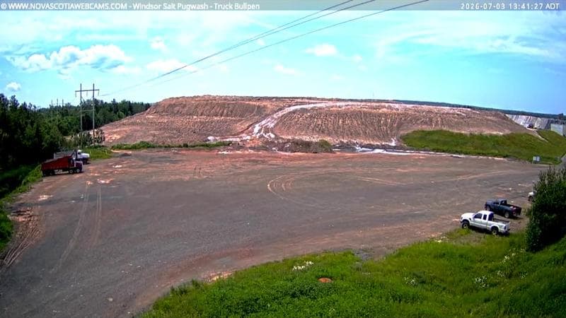 Windsor Salt