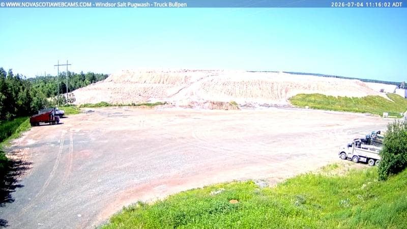 Windsor Salt