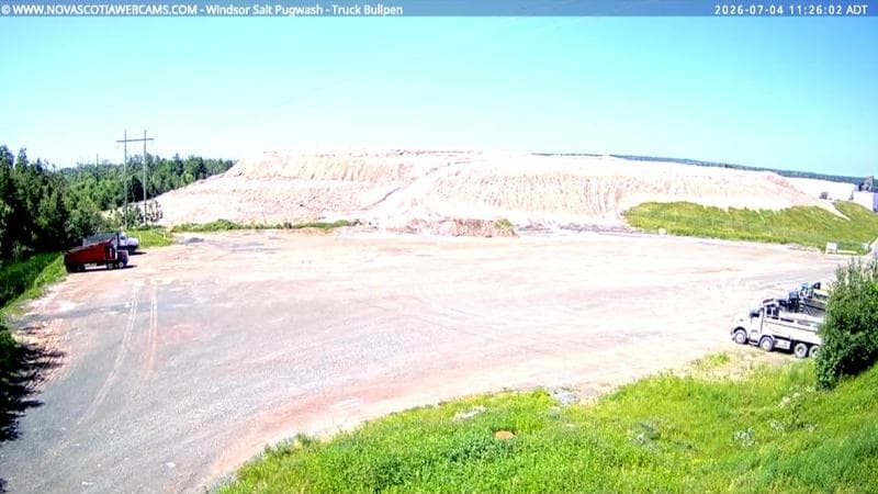 Windsor Salt