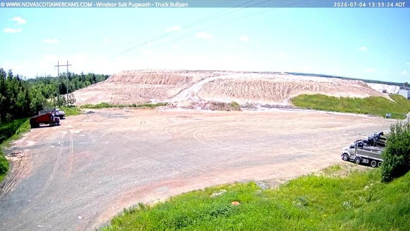 Windsor Salt