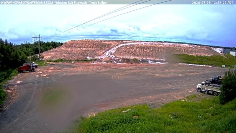 Windsor Salt