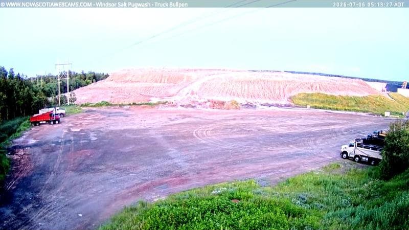 Windsor Salt