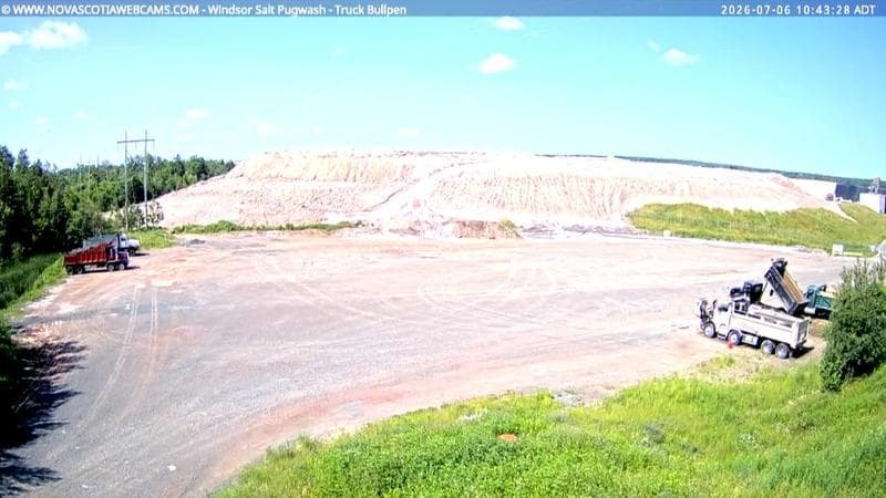 Windsor Salt