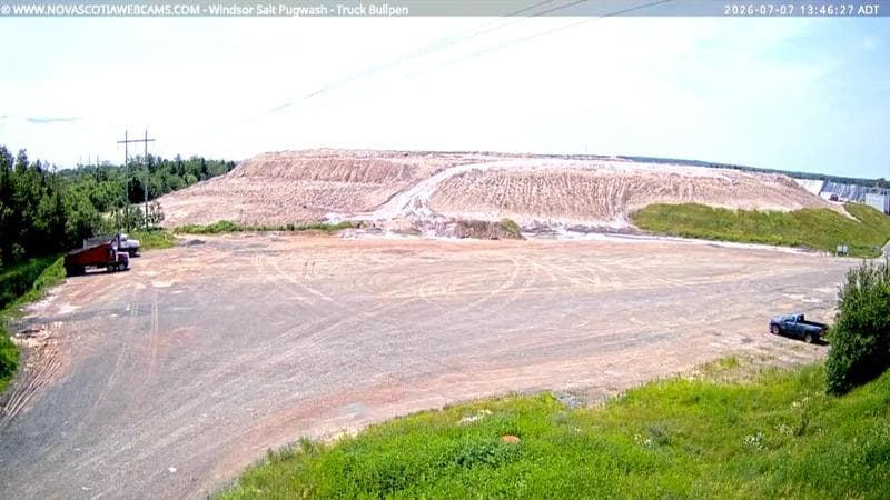 Windsor Salt