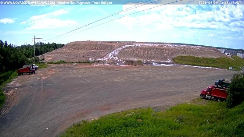 Windsor Salt