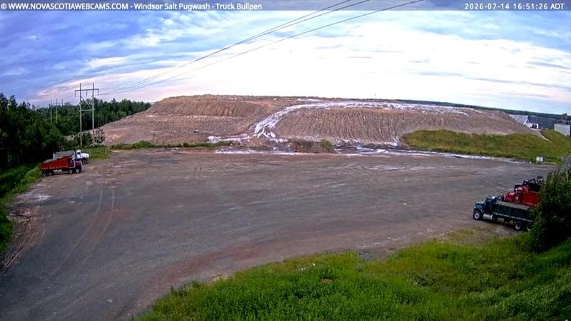 Windsor Salt