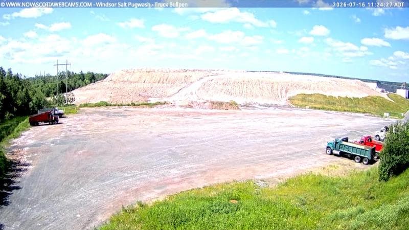Windsor Salt