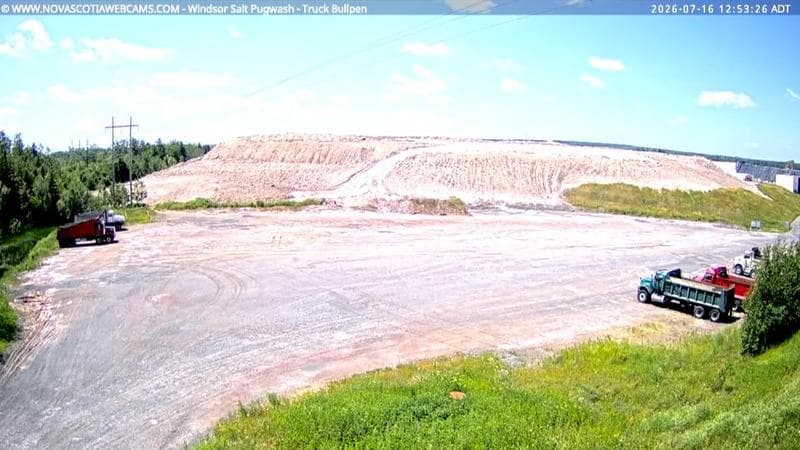 Windsor Salt